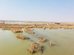 -盐城丹顶鹤湿地生态旅游区