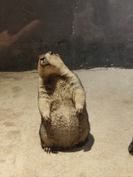 -酷嗒动物文化乐园(cutezoo西溪乐天城店)