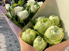 -双季花艺园艺市场(浦东店)