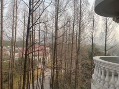 -上海虹桥迎宾馆