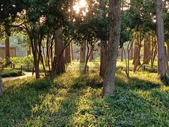 -西湖外事游船(花港观鱼码头)