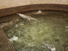 -北京威斯汀酒店游泳健身中心
