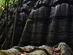 -梭布垭石林景区