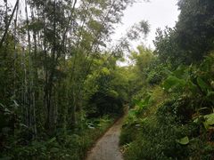 -彩虹桥宠物火化殡葬善终服务(金乐大厦店)