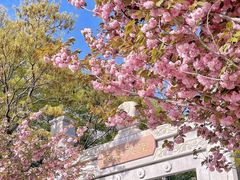 -石岛赤山风景区