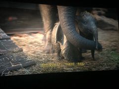 -博纳国际影城IMAX(中央大道店)