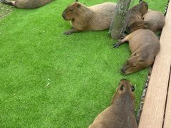 -盈香心动乐园