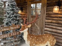 -HERRE·FARM 赫尔露营农场·团建聚会包场