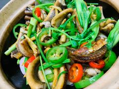 -飞尝蚝·顺德菜·鱼生(顺德总店)