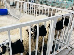 -水上乐园·欢乐世界