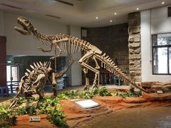 -自贡恐龙博物馆