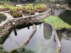 -成都市活水公园
