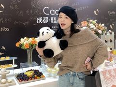 -龙湖成都上城天街