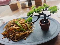 -一盏明灯全素斋(五爷庙店)