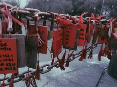 -东钱湖小普陀景区