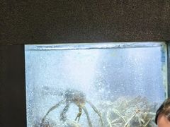 -徐记海鲜(曲江南湖店)