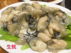 生蚝-金砂阿洲鱼册店