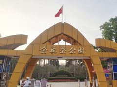 -金花茶公园