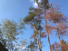 -楠溪江风景名胜区