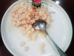 -椿不老