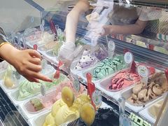 -柠檬车露(卖草地店)