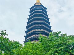 -红梅公园