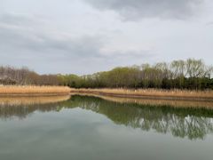 -大兴滨河森林公园