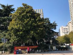 -郑和公园