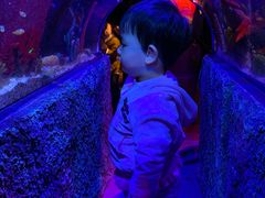 -沈阳海洋探索中心