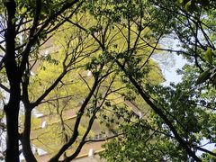 -南山植物园