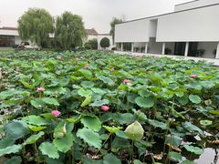 -费孝通江村纪念馆