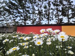 -DORA kids 朵拉儿童摄影花园店