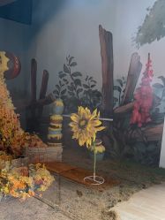 -爱儿美儿童摄影(奥森公园店)