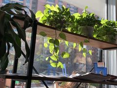 -Jamaicablue Coffeeshop(中央广场店)
