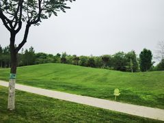 -瀛海足球主题公园