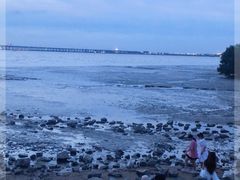 -宝安西湾红树林湿地公园