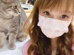 -COLOR PETS 撸猫馆·购猫·猫咖(长风大悦城店)