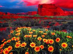 -罗红摄影艺术馆