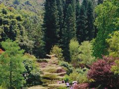 -深圳仙湖植物园