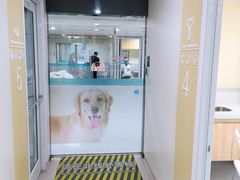 -谐和贝康宠物医院24小时·宠保定点(急重症转诊中心)