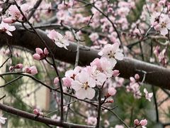 -北京清河万象汇