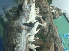 -广东省拱北口岸中国旅行社(华宾营业部)