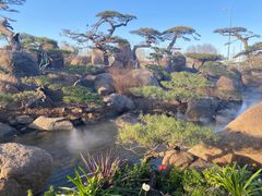 -罗红摄影艺术馆