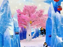 -湘江欢乐城欢乐雪域