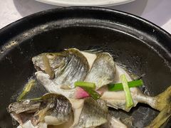 泥猛-百味馆·海鲜·湛江菜(后海花园店)