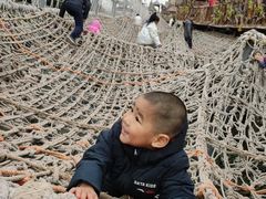 -呀路古热带植物园