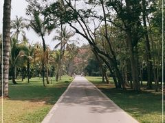 -中国科学院西双版纳热带植物园