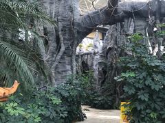 -郑州银基黄帝宫御温泉