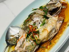 清蒸桂鱼-八闽饭店闽南小镇(铁西店)