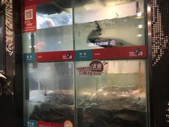 -鱼酷活鱼烤鱼(北美店)